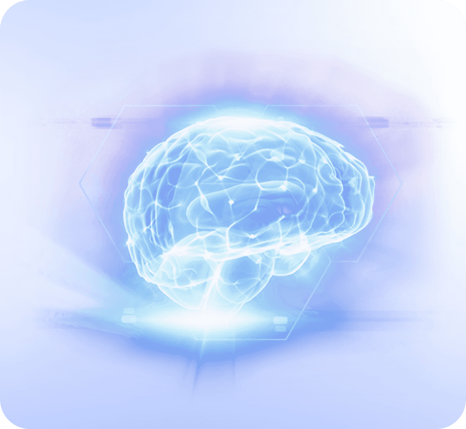 Brain Visualization