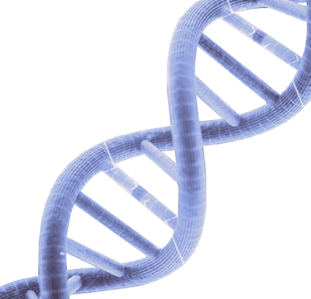 DNA Image